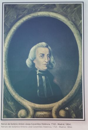 Jose cavanilles. Museu ciències.jpg