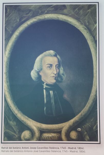 Archiu:Jose cavanilles. Museu ciències.jpg