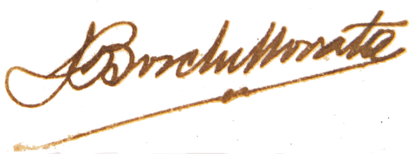 Archiu:Signatura Bosch i Morata.png